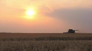 Montana wheat farmer talks about potential impact of Trump tariffs