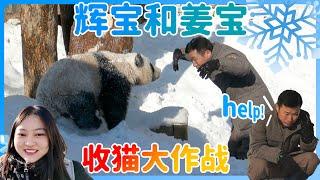 ️️ Rui Bao & Hui Bao’s snow party! Hui Bao struggles to return inside before Jiang Bao’s speech.