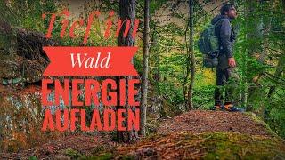 Tief im Wald - Energie aufladen