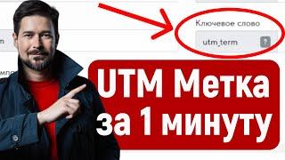 Как сделать UTM метку на сайт и посмотреть посещения в Яндекс Метрике