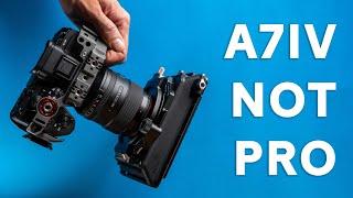 Is the SONY A7IV a professional video camera?