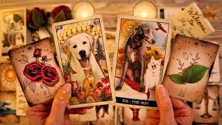 LOVE TAROT READING- THE DECISION YOU’RE WAITING FOR THEM TO MAKE!! ️