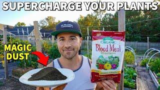 This MAGIC BLACK DUST Will Make Your Veggies Grow Like Weeds!