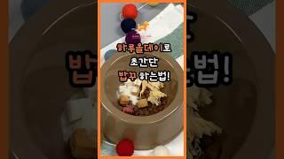 하루올데이로 초간단 밥꾸 하는법!