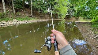 TROUT Fishing with Inline Spinners (Brown & Rainbow)