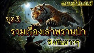 รวมเรื่องเล่าพรานป่าชุด3ฟังกันยาวๆ|เรื่องเล่าพรานพร