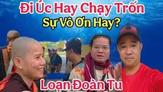 Nóng Hơn Bao Giờ Hết Thầy Có Nên Đi