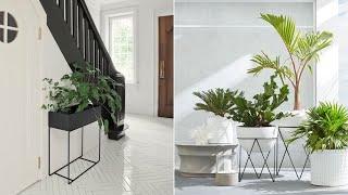 Beautiful plants pot stand ideas