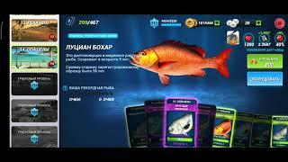 Пару советов по игре от новичка Fishing Clash: Реальная рыбалка