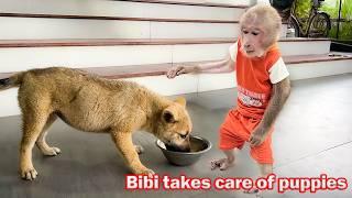 Bibi gives special attention and affection to the puppy after many days of traveling!