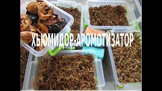 Подготовка табака для набивания в гильзы .| Preparing tobacco for stuffing into sleeves