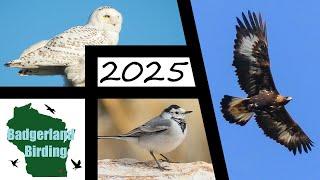 Erste Vogelbeobachtungs-Challenge des Jahres 2025