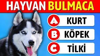 Hayvanı Tahmin Et !  Hayvan Bilgi Yarışması ! Hayvan Testi