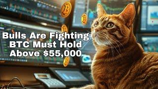 The Daily Update - Bulls Fighting. BTC Must Hold Above $55,000.