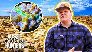 The Young Guns Mine $20,000 Of RARE Pineapple Opal! | Outback Opal Hunters