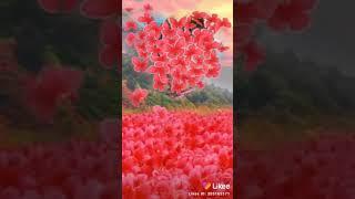 Ravindra lodhi nand