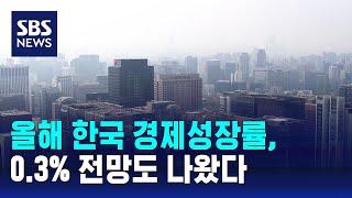 올해 한국 경제성장률, 0.3% 전망도 나왔다 / SBS / 경제365