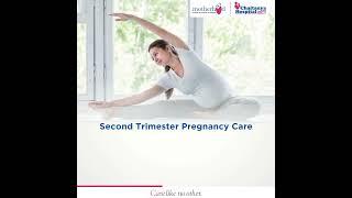 Journey to Maternal Wellness, Essential Pregnancy Tips: National Safe Motherhood Day
