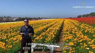 Flower Fields at Carlsbad Ranch with Martin M. Correia