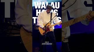 NOAH - Walau Habis Terang (Live) #shorts