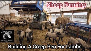 Sheep Farming: Building A Creep Pen For Lambs |April 2022