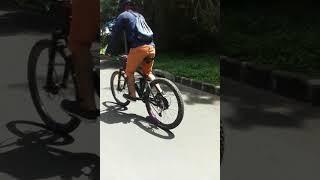 Bunny hop by Lawrence