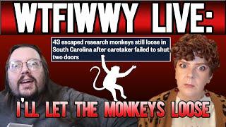 WTFIWWY Live - I'll Let The Monkeys Loose! - 11/11/24