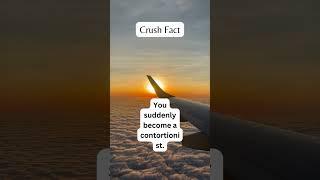 #3 Crush Fact, Trivia Trail