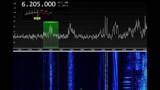 6205kHz Radio Technical Man 18:48UTC 20-JAN-2024