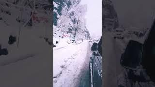 fresh snowfall manali