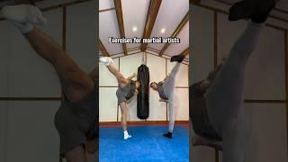 Exercises for martial artists