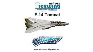 Freewing F-14 Tomcat Twin 80mm EDF Jet Flight Demo