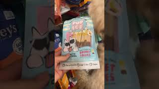 Paw-some Shopping Spree#theodoretedi #cute #