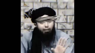 Auliya k Waris kon hain  #emam #engineermuhammadalimirza #truthlover #onemanarmy #antibabiology