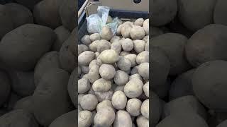 Минск️БеларусьЦена на  картофель  в магазине30марта2025 ️️️