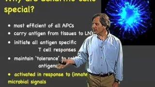 Dendritic cells - Ira Mellman (Genentech)