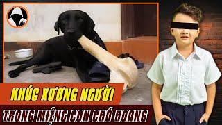 Kỳ Án Trung Quốc | Khúc Xương Người Trong Miệng Chú Chó Hoang | Hồ Sơ Vụ Án