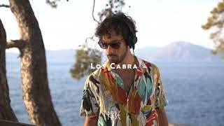 Los Cabra DJ Mix at Dream of Utopia Festival 2021