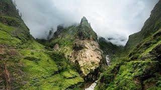 पोंग डैम जिला काँगड़ा, हिमाचल प्रदेश (Wildlife Bird Sanctuary), विदेशी परिंदो का स्वर्ग हैं। *Hindi