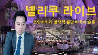 하루 일당 마이너스 200만원 20241218