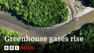 Greenhouse gases rising at record levels, UN says | BBC News