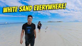 White Sand Beach in Pangasinan | Tondol Beach, Anda | Pro Honda Oil