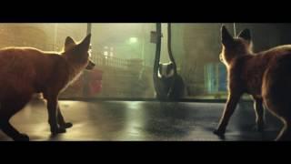 John Lewis Trampoline Christmas Advert