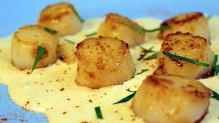 Tender scallops in a creamy sauce