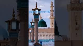 Noori#####gelyaa######..... O