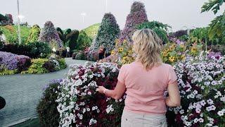 Сад чудес. Miracle Garden. Дубай