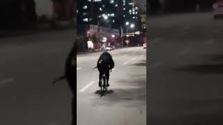 9살픽돌이아빠 이거 맞나요~?