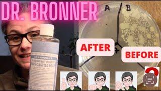 Testing Dr Bronner's Castille Soap: How Well Does it Disinfect My House????