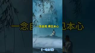 《一念自观，得见本心 | 修行的智慧与正念》 #正念 #修行 #佛法 #一喃自语