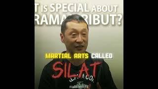 Ultraman Ribut martial art called "Silat" #ultramanribut #shorts